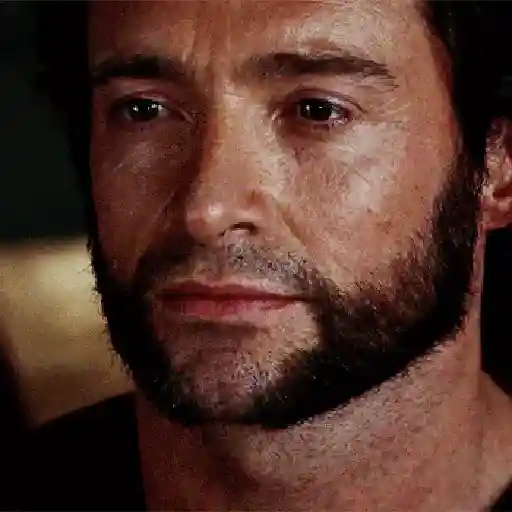 Wolverine🔝Logan
