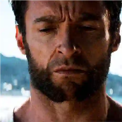 Wolverine🔝Logan
