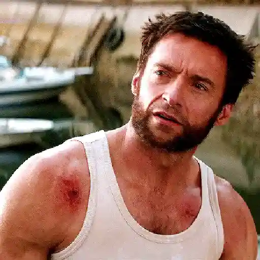 Wolverine🔝Logan
