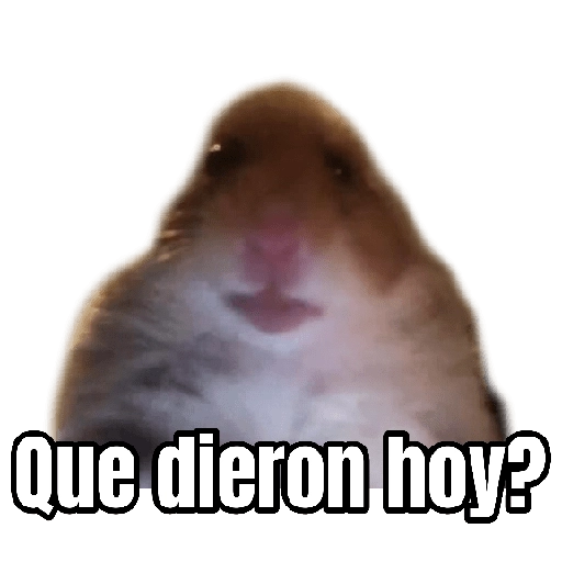 Memes Randoms Para Enviar 
