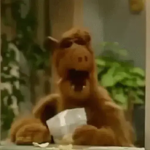 La risa siempre es buena😂❤️✨
