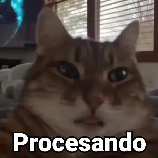 🤎Gatitos con Frases⓷🐈‍⬛😼
