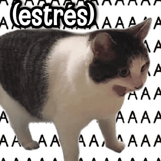 ✎ Respuestas Facheras #➊
