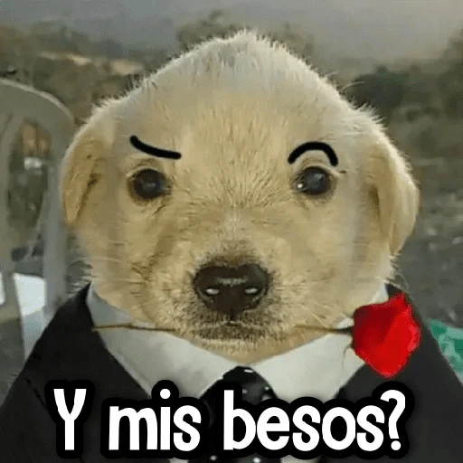 ✎ Respuestas Facheras #➊
