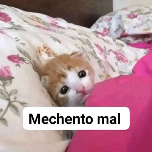 a ver tu cola 😎memes
