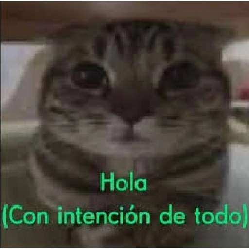 a ver tu cola 😎memes
