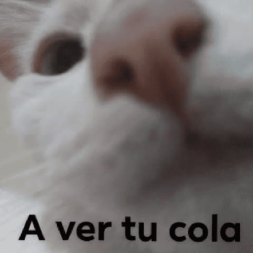 a ver tu cola 😎memes
