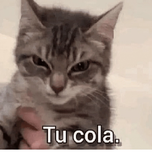 a ver tu cola 😎memes
 preview