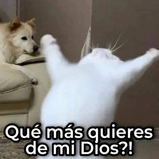 Mix de Animalitos! 🐶

