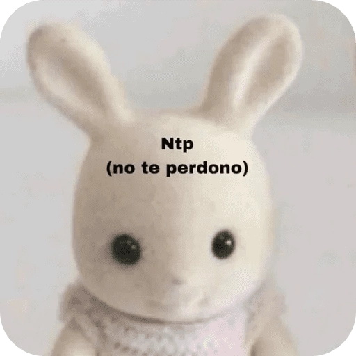 pipipiter la anguila memes 🤣

