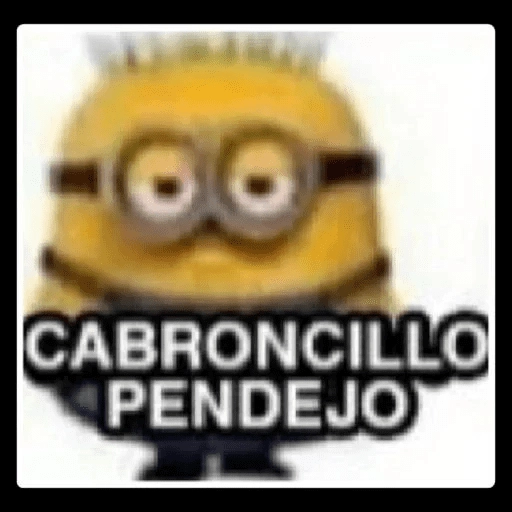 pipipiter la anguila memes 🤣
