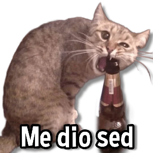 Gatitos pa tu Chat😺💗
