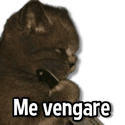 Gatitos pa tu Chat😺💗

