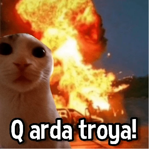 Gatitos pa tu Chat😺💗
