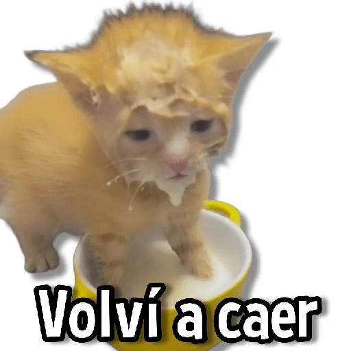 Gatitos pa tu Chat😺💗

