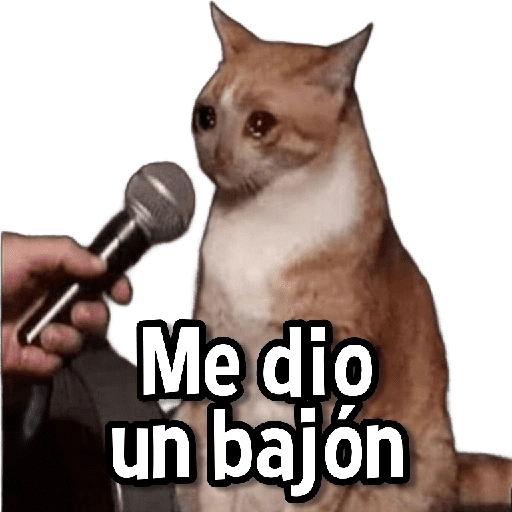 Gatitos pa tu Chat😺💗
