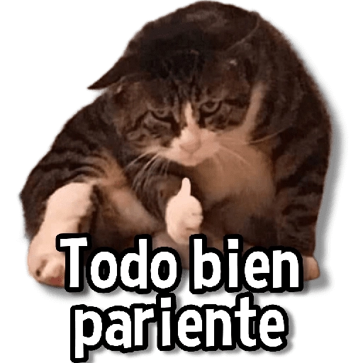 Gatitos pa tu Chat😺💗
 preview