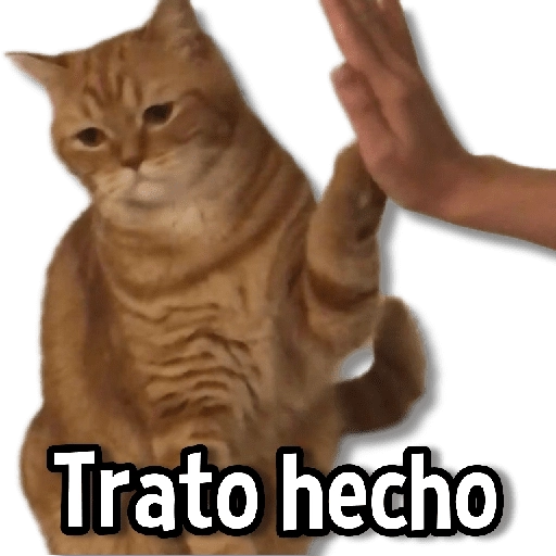 Gatitos pa tu Chat😺💗
 preview