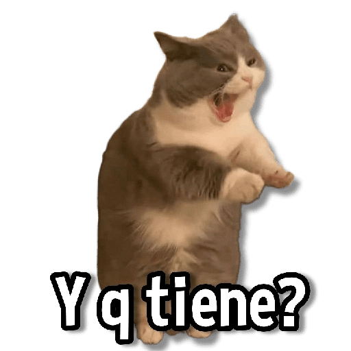 Gatitos pa tu Chat😺💗
 preview