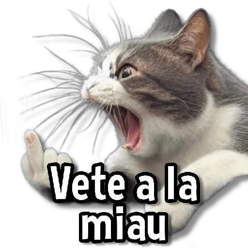 Gatitos pa tu Chat😺💗
