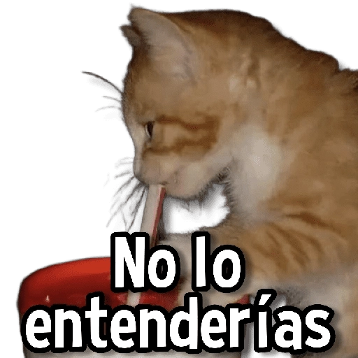 Gatitos pa tu Chat😺💗
