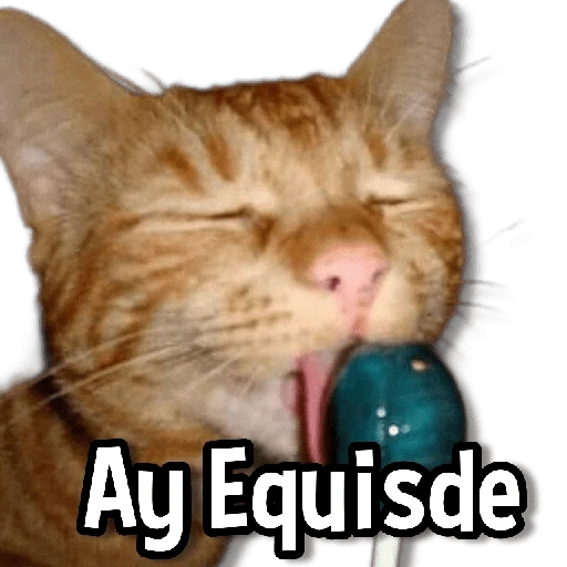 Gatitos pa tu Chat😺💗
