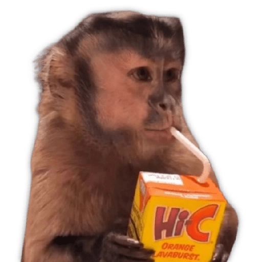 Monitos para reaccionar 🐵🐒🙈 
