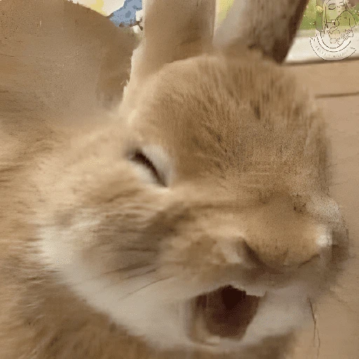 🤪 Reactions 15 😲 
