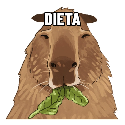 Febrero 2023 animales
