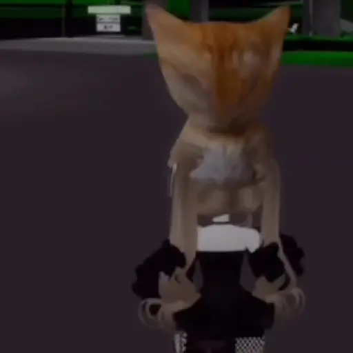 🐱 Gato Roblox 💫baile 😹💫 
