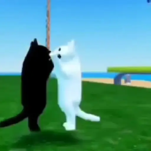 🐱 Gato Roblox 💫baile 😹💫 
