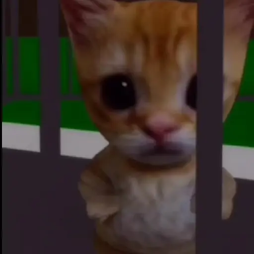 🐱 Gato Roblox 💫baile 😹💫 
