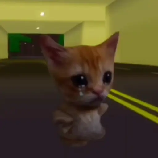 🐱 Gato Roblox 💫baile 😹💫 

