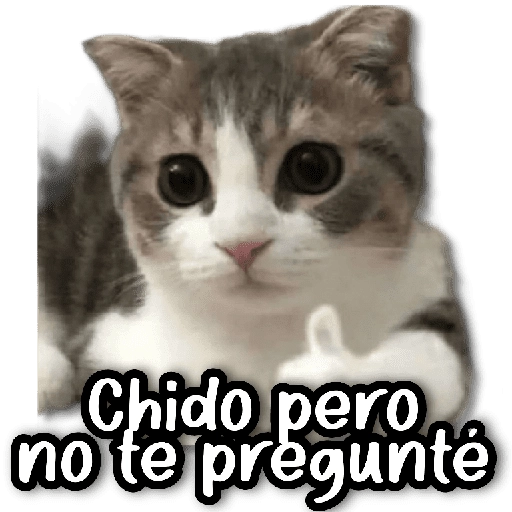 Michis & Perros #➊ 😹🐶 preview