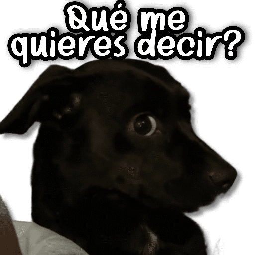 Michis & Perros #➊ 😹🐶