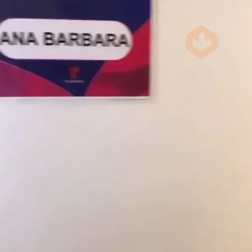 Ana Barbie sticker 18