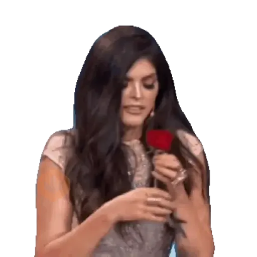Ana Barbie sticker 17