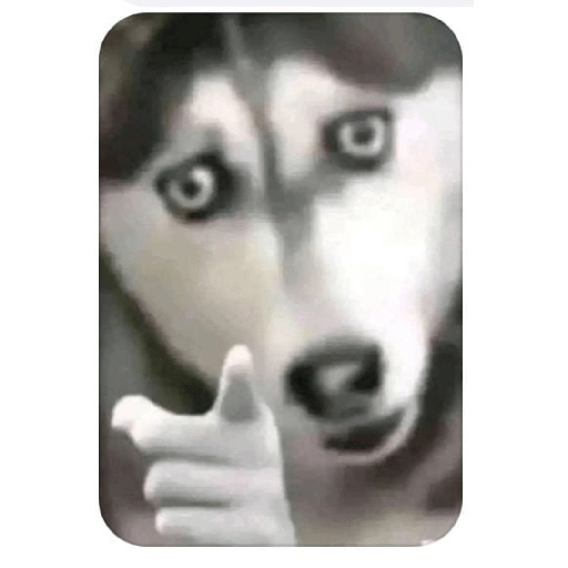 Adrian Marcelo 1o 
