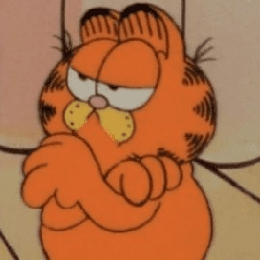 Garfield y sus caras🧡🐱✨ 
