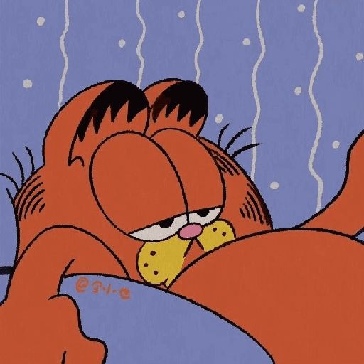 Garfield y sus caras🧡🐱✨ 

