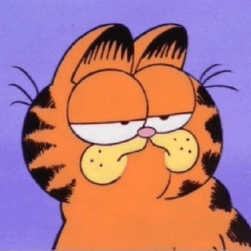 Garfield y sus caras🧡🐱✨ 
