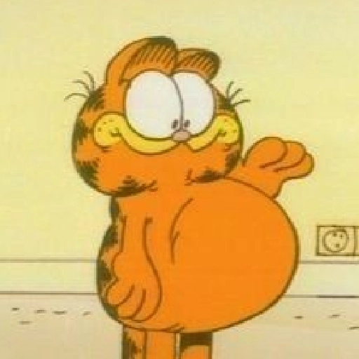 Garfield y sus caras🧡🐱✨ 
