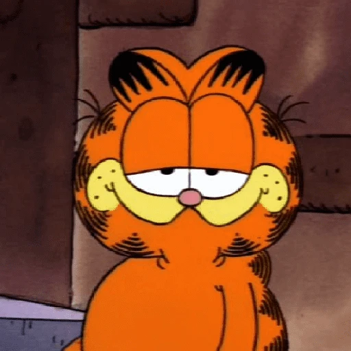 Garfield y sus caras🧡🐱✨ 
