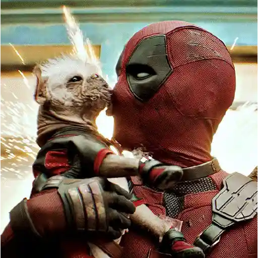 ✨Deadpool y Wolverine⚔️ 
