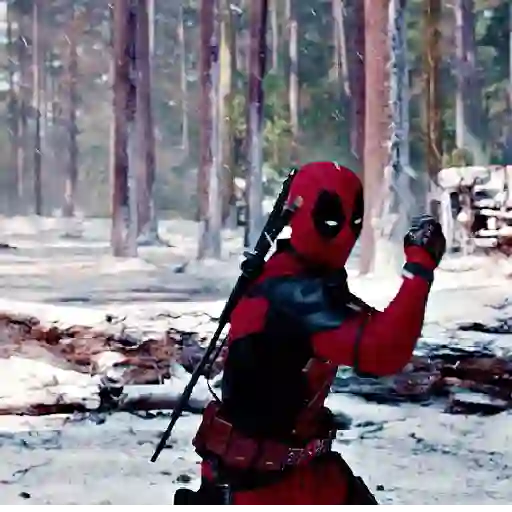 ✨Deadpool y Wolverine⚔️ 

