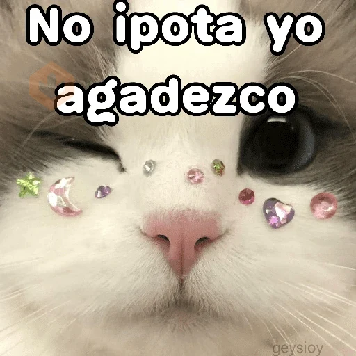 👂No me importa yo♥️ memes🔥 sticker 12