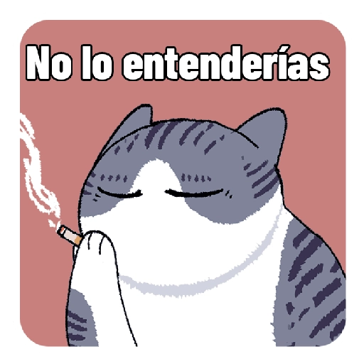 Michis y animales 2022 
