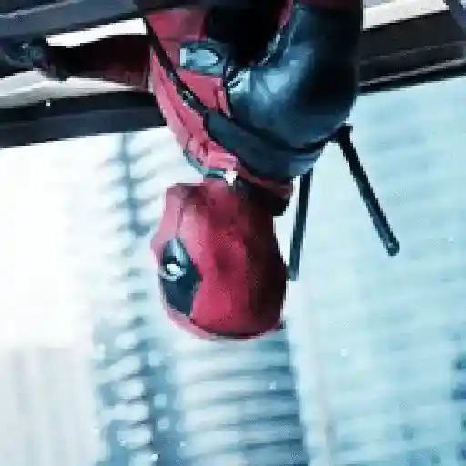 Deadpool × Wolverine  
