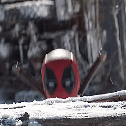 Deadpool × Wolverine  
