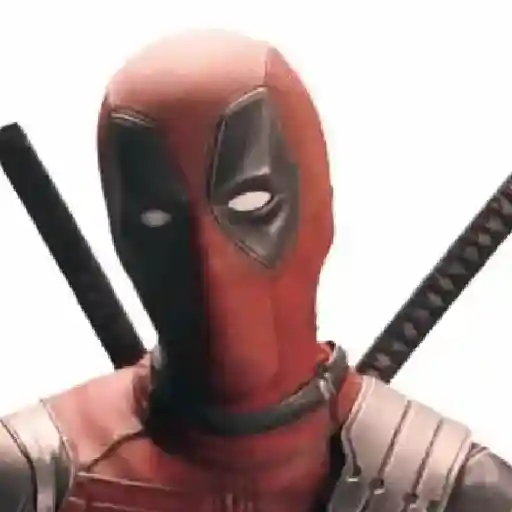 Deadpool × Wolverine  
